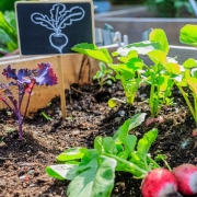 Grow-It-yourself-1140x620