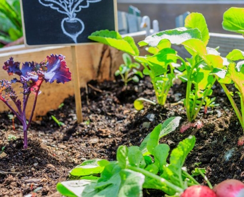 Grow-It-yourself-1140x620