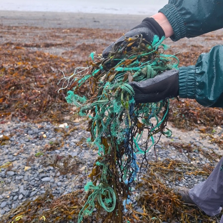 416115230_17987201975607914_6071727159375409064_n